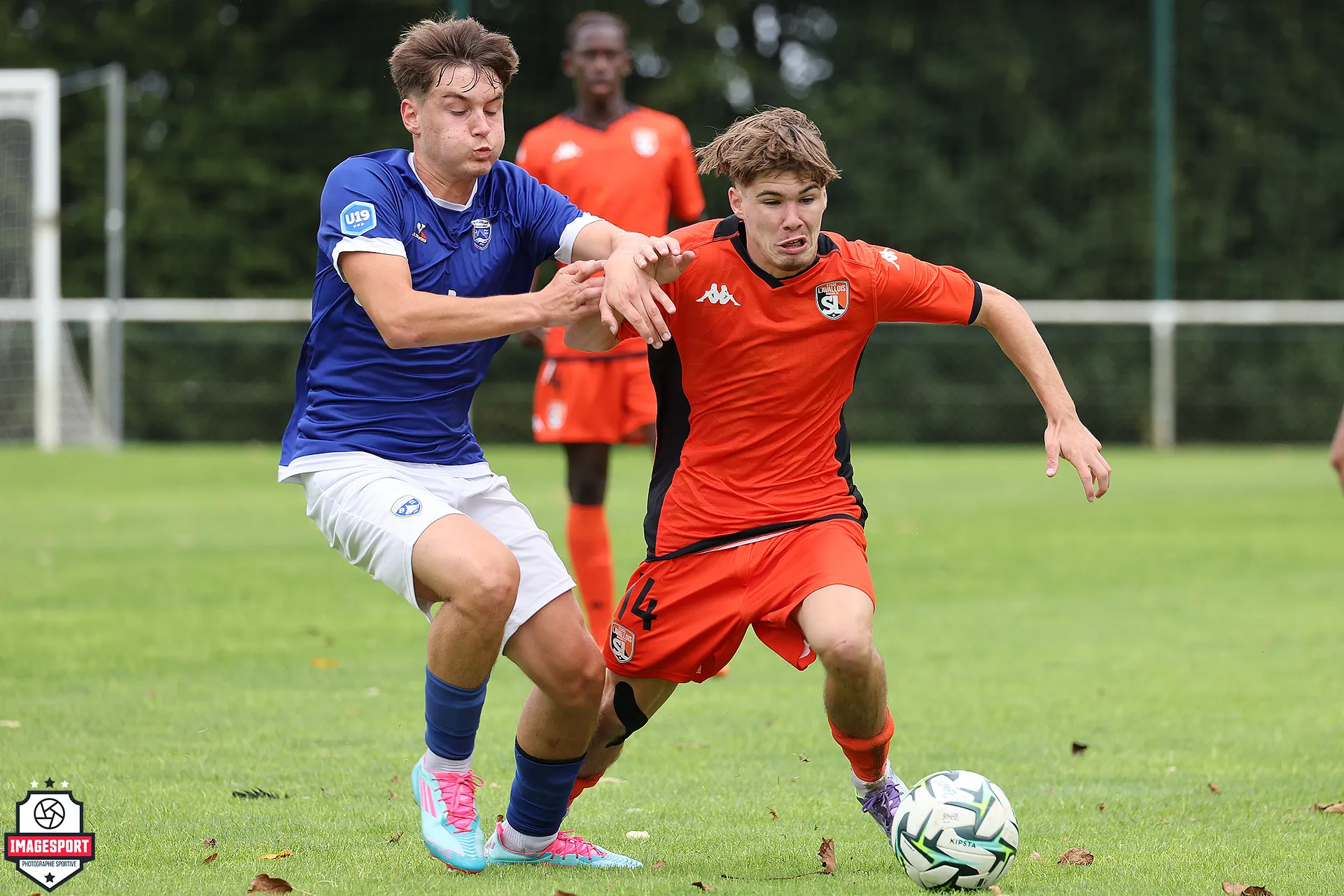 Corentin BRANDY (Stade Lavallois)